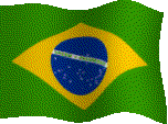 brazil_flag2.gif